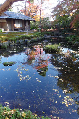 特別公開された京都下鴨「旧三井家下鴨別邸」の幕末期の茶室と庭池、そして池に映る紅葉
