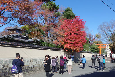 下鴨神社の参道から見える、京都下鴨「旧三井家下鴨別邸」主屋・望楼と色づき良い紅葉