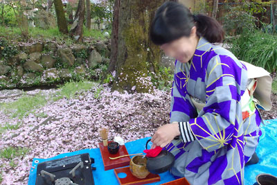 京都上賀茂の社家庭で、茶碗に鉄瓶の湯を注ぐお点前さん