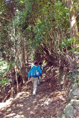 京都・愛宕山西裏の集落「水尾」の登山口から愛宕山を目指して登山道を登り始める山会参加者