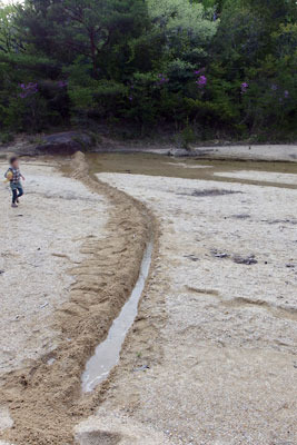 滋賀県南部・湖南アルプス太神山中の野営地付近の沢でスコップを揮い堰堤を作り水を溜める野営会参加者
