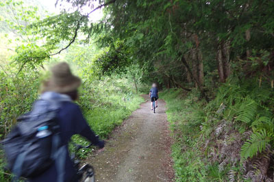 大津と京都・山科盆地を隔てる東海道の間道「小関越」の、古道風情が残る区間を自転車で駆け下る平会参加者