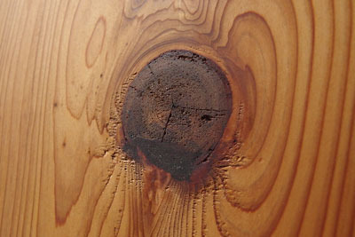 刻苧漆で埋めた、裏面と繋がる杉無垢板の「死に節」