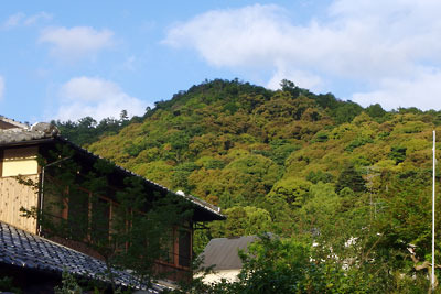 京都市街東部の琵琶湖疏水分線（哲学の道）付近から見た、緑が光る大文字山山系・善気山付近の峰