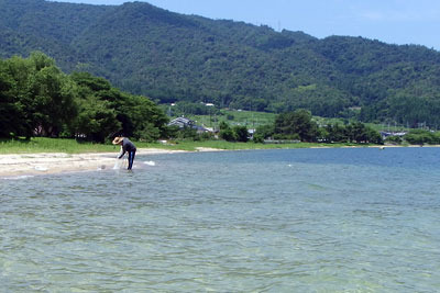 美麗な水辺広がる琵琶湖の浜で、稚鮎（小鮎）を狙い投網漁を行う網会参加者