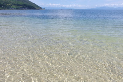 滋賀県琵琶湖西岸の水のきれいな遠浅の浜
