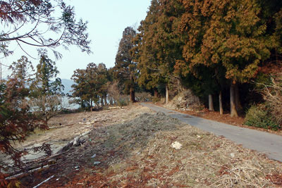 長尾島へ続く三方湖東岸の細道