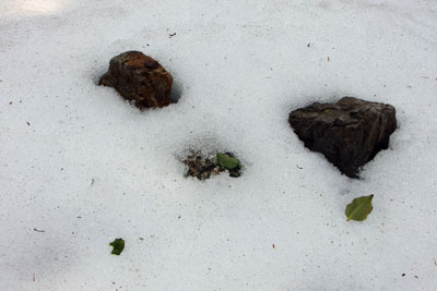 雪に埋もれた、福井県若狭地方・三方五湖の長尾島最高所の四等三角点（中央「+」印が見える石）