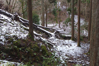 京都・雲取山の山頂へと続く三ノ谷の支流分岐部に薄っすら積る雪