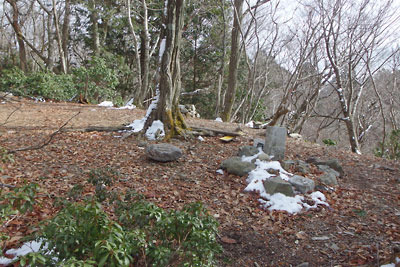 1月にもかかわらず積雪がなく、三角点の標石も露出した京都・雲取山山頂