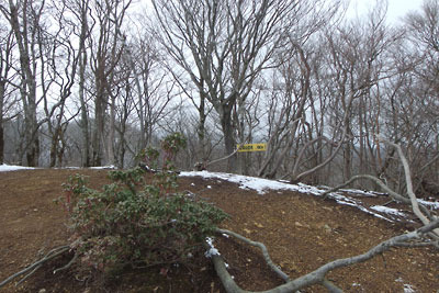 1月にもかかわらず積雪のない京都・雲取山北峰