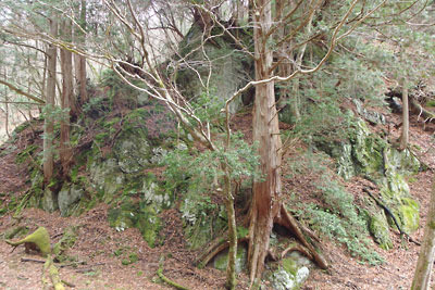 京都・雲取山の二ノ谷を飾る、雑木と岩が織りなす庭園風情