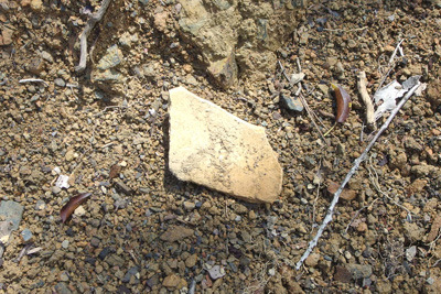 安祥寺山北尾根遺構傍の林道崖で発見した土師器の破片
