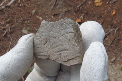 安祥寺山北尾根鞍部の林道切通し近くで発見した青海波的圧痕のある古い土器か�b器