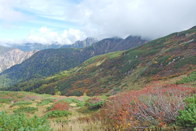 三俣山荘方面への近道「巻道ルート」から見た紅葉や黄葉と背後の北鎌尾根や硫黄尾根等