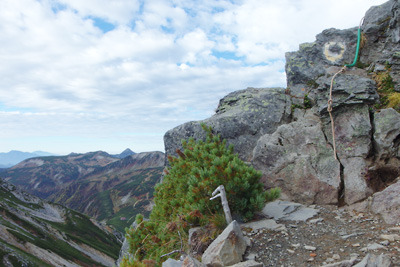 奥黒部・裏銀座の稜線にあるワリモ岳山頂付近の岩場