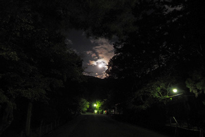 南禅寺境内の樹々の間から覗く、2021年10月20日の満月