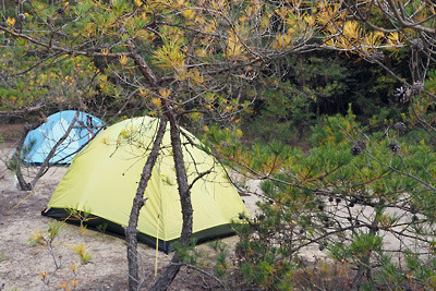 太神山中の野営地に張ったテント