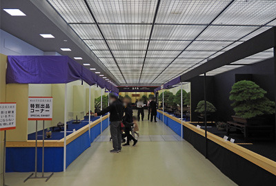 京都みやこめっせ第2展示室内で開かれる第41回日本盆栽大観展とその上席展示