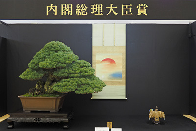 第41回日本盆栽大観展の最上位「内閣総理大臣賞」に選ばれた豪壮な盆栽作品