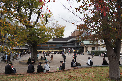 みやこめっせでの盆栽大観展の鑑賞後、向かいの京都会館付近で見た数多の人出