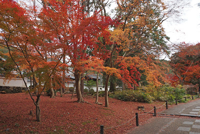 京都・南禅寺、南禅僧堂南の紅葉。2021年12月5日撮影