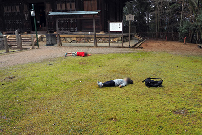 京都・醍醐寺奥の上醍醐境内にある「五大堂」前の自然苔の上で寝そべる子供。2021年12月12日撮影