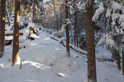 雲取山三ノ谷から山頂に至る分岐部の積雪。令和3（2021）年12月19日朝撮影