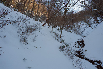 京都・雲取山山頂と三ノ谷間にある雪の沢沿いルート。令和3（2021）年12月19日朝撮影