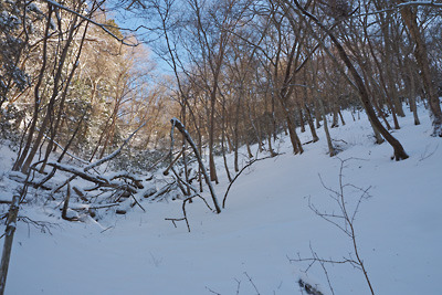 京都・雲取山山頂と三ノ谷間にある、山頂直下の雪の急傾斜地。令和3（2021）年12月19日朝撮影