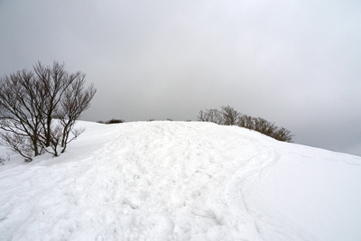 野坂山地主稜線上の小頂「寒風」東の雪原