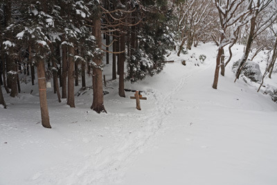雪に埋もれる京都北山の寺山峠。2022年1月15日撮影