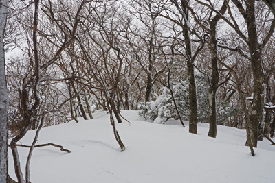雪に埋もれた京都北山の雲取山後峰の山頂。2022年1月15日撮影