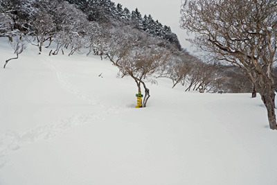 雪に埋もれた京都北山の雲取峠。2022年1月15日撮影