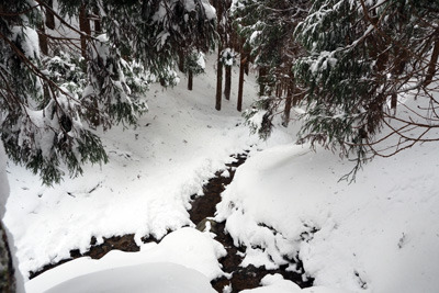 雪に埋もれた京都北山の雲取山山中の一ノ谷。2022年1月15日撮影