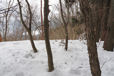 蛇谷ヶ峰南にある雪に埋もれた滝谷ノ頭の山頂。2022年1月28日撮影