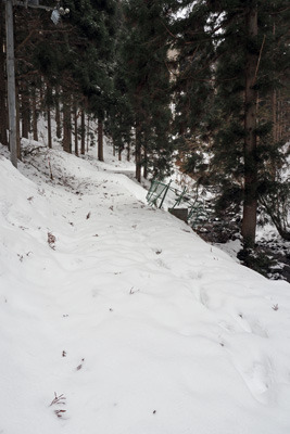 芹生奥の雪の林道。2022年2月5日撮影