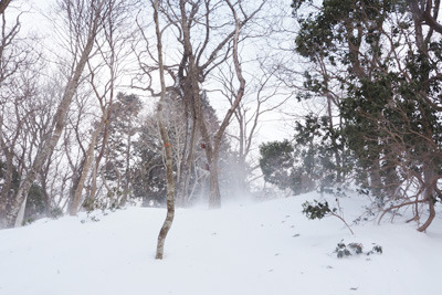強い風で雪が舞う京都北山・雲取山の山頂。2022年2月5日撮影