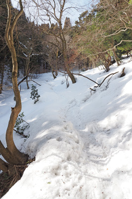 堂満岳・東稜道の標高530m辺りから始まる、雪の谷道。2022年2月12日撮影