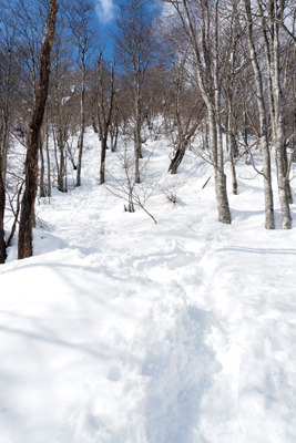堂満岳・東稜道の山頂直下の雪の急登。2022年2月12日撮影