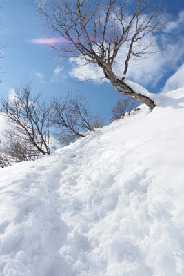 堂満岳・東稜道の積雪期の山頂下。2022年2月12日撮影