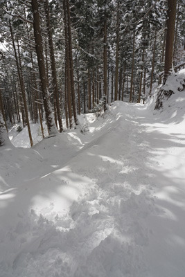 多くの雪に覆われる比良山脈南端の権現山登山路(林道)と、その左横に残る古道。2022年2月18日撮影