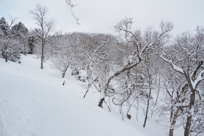 多くの雪に覆われる比良山脈南端のズコノバン手前の権現山登山路。2022年2月18日撮影