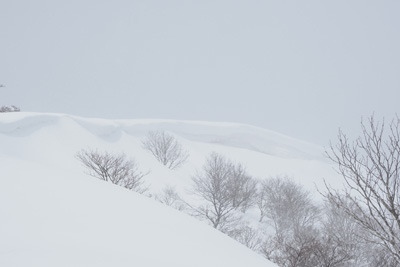 いつになく巨大化した比良山脈南部・ホッケ山山頂際の雪庇。2022年2月18日撮影
