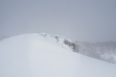多量の雪と吹雪に霞む比良山脈南部・ホッケ山山頂。2022年2月18日撮影