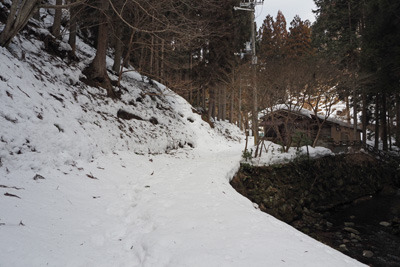 20cm程の雪で埋もれる、京都北山・芹生集落奥の林道。2022年3月5日撮影