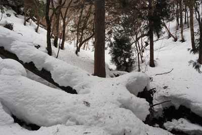 京都北山・雲取山の三ノ谷と山頂直下へ続く谷との分岐部分と積雪。2022年3月5日撮影