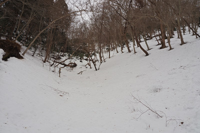 京都北山・雲取山三ノ谷ルート上の山頂直下の雪の急斜。2022年3月5日撮影