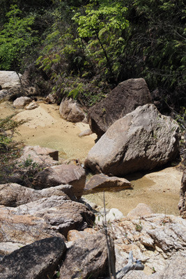 風化花崗岩質の山肌に清澄な水が流れる滋賀・湖南アルプスの沢