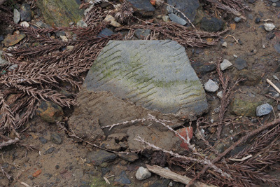 京都・山科の西谷遺跡で発見した、表面に平行線圧痕がある須恵器片（甕か）